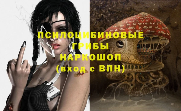 ГАЛЛЮЦИНОГЕННЫЕ ГРИБЫ Красноперекопск