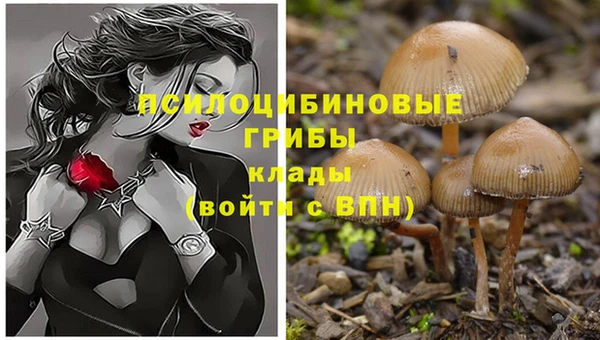 винт Куйбышев