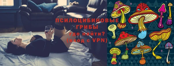 Альфа ПВП Кулебаки